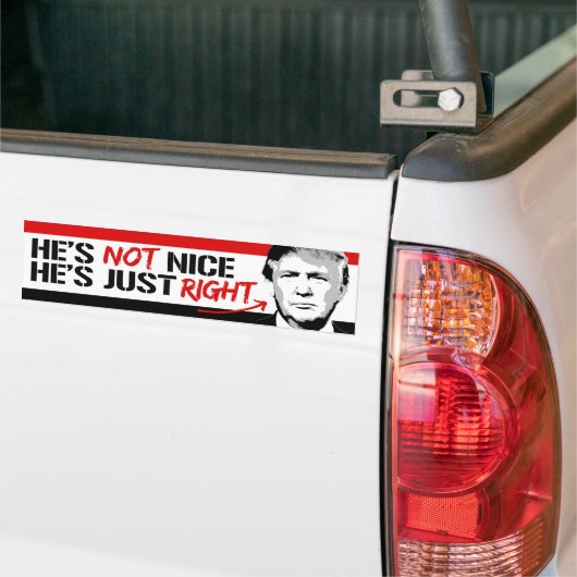 Trump is niet aardig - hij heeft gewoon gelijk - p bumpersticker (Op Truck)