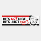 Trump is niet aardig - hij heeft gewoon gelijk - p bumpersticker (Voorkant)