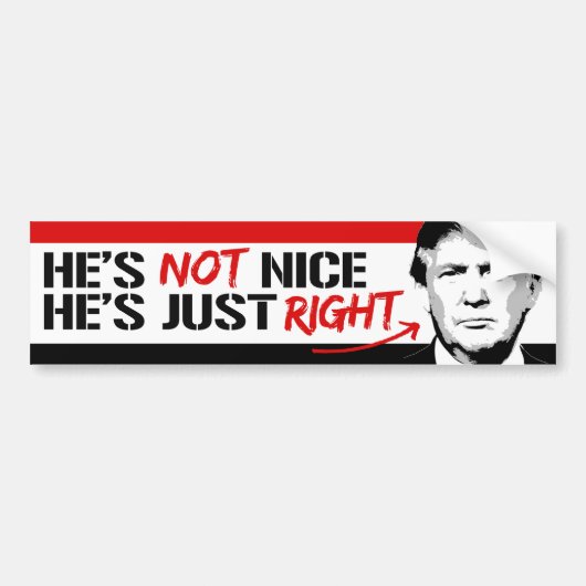 Trump is niet aardig - hij heeft gewoon gelijk - p bumpersticker (Voorkant)