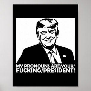 Trump Mijn Voornaamwoorden Zijn Uw Ing President Poster