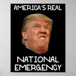 Trump Nationale Noodtoestand T Shirt Trump Is Het  Poster