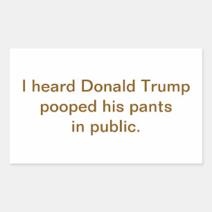 Trump Poepte in Zijn Broek Publiek Hankamer Artjun Rechthoekige Sticker