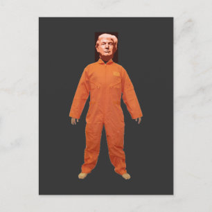 Trump Prisoner Briefkaart