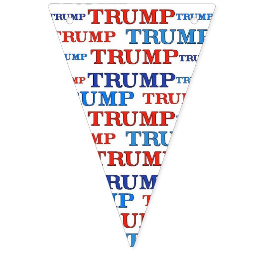TRUMP TRUMP PARTY BANNER (Zestiende vlag)