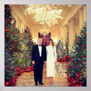 Trump US President White House Kerstmis Poster