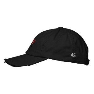 TRUMP USA #45 BASEBALL PET