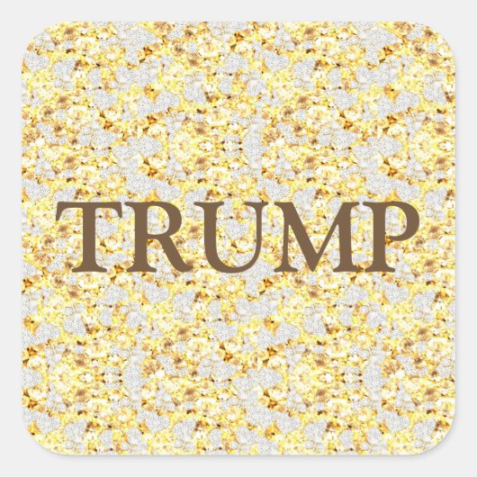 TRUMP VIERKANTE STICKER (Voorkant)