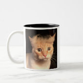 Trump votre tasse de chat (Gauche)