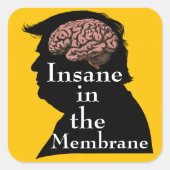 Trump/Waanzinnige Sticker (Voorkant)