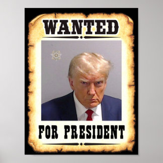 Trump wilde President-Poster Poster
