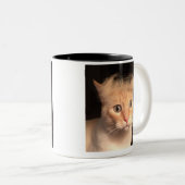 Trump Your Cat Mok (Voorkant rechts)