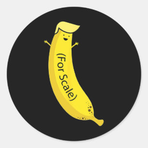 Trump zijn banaan (voor schaal) Funny 2 Ronde Sticker