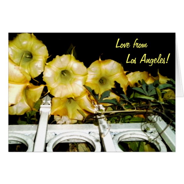 Trumpet bij nacht 1b (Voorkant Horizontaal)