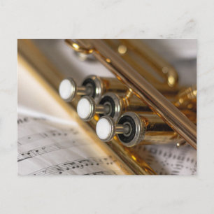 Trumpet en vel Music Brass Instrument Briefkaart