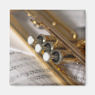 Trumpet en vel Music Brass Instrument Magneet