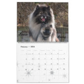 Trumpet Keeshond Calendar Kalender (Feb 2026)