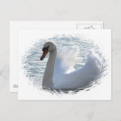 Trumpet Swan Briefkaart (Voorkant / Achterkant)