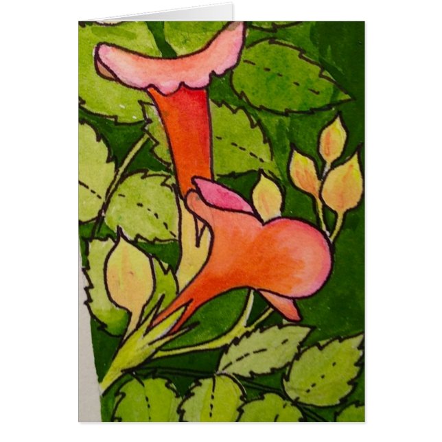 Trumpet Vine (Voorkant)