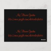 Trumpet Vine Bladwijzer Briefkaart (Achterkant)