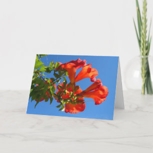Trumpet vine & Honeysuckle Card Kaart
