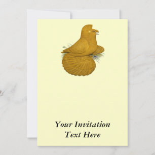 Trumpeter Pigeon Yellow Self Kaart