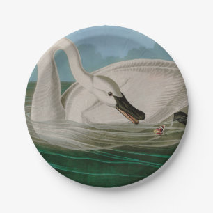 Trumpeter Swan Birds of America Audubon Print Papieren Bordje