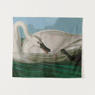 Trumpeter Swan Birds of America Audubon Print Wandkleed