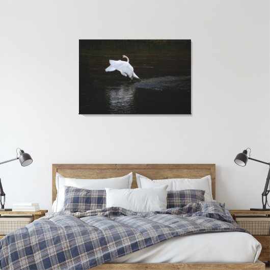 Trumpeter Swan Canvas Afdruk (Insitu (Slaapkamer))