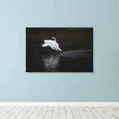 Trumpeter Swan Canvas Afdruk (Insitu (Houten vloer))