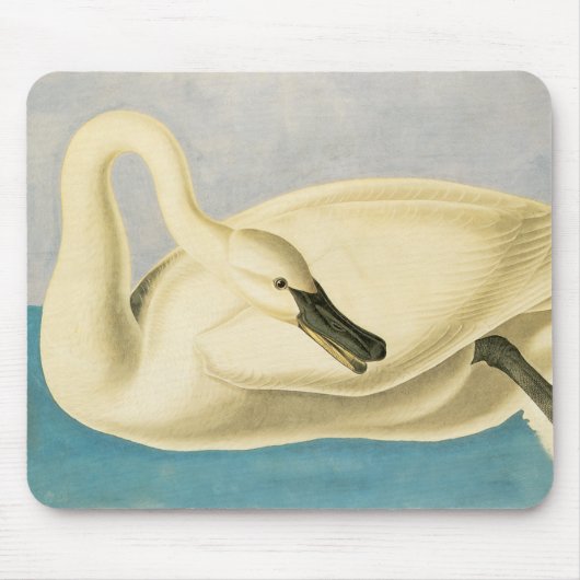 Trumpeter Swan door John James Audubon,  vogel Muismat (Voorkant)