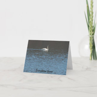 Trumpeter Swan Kaart