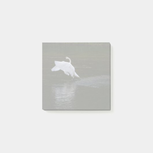 Trumpeter Swan Post-it® Notes (Voorkant)