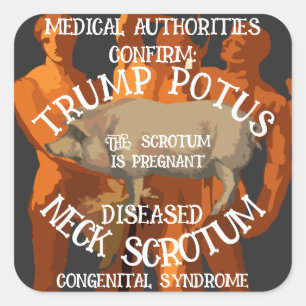 TRUMP'S NEK SCROTUM IS ZWANGER VIERKANTE STICKER