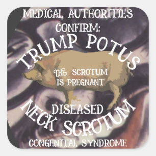 TRUMP'S NEK SCROTUM IS ZWANGER VIERKANTE STICKER