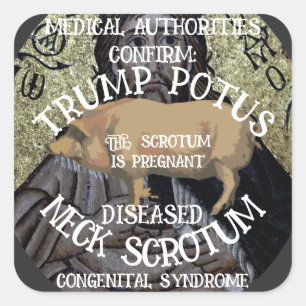 TRUMP'S NEK SCROTUM IS ZWANGER VIERKANTE STICKER