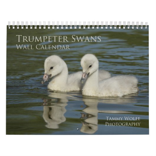 Trumpter Swan Wall Agenda Kalender (Hoes)