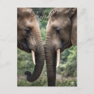 Trunk to Trunk: Een zachte olifant omhelzen Briefkaart