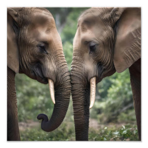 Trunk to Trunk: Een zachte olifant omhelzen Foto Afdruk
