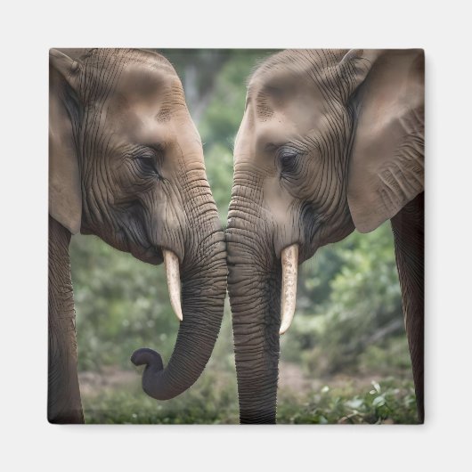 Trunk to Trunk: Een zachte olifant omhelzen Magneet (Voorkant)