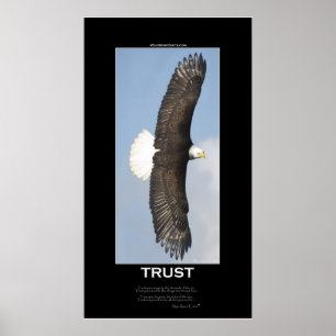 TRUST Bald Eagle Motivatie Poster