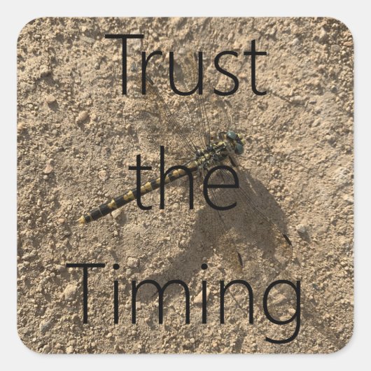 Trust The Timing - Sticker (Devant)