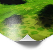 Trypophobia Poster (Coin)