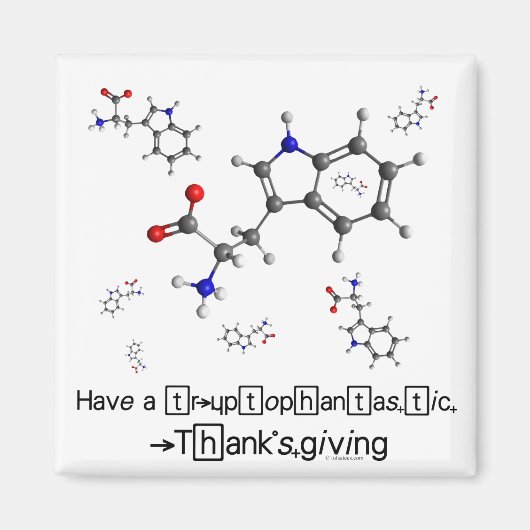 Tryptophan Molecule Magneet (Voorkant)