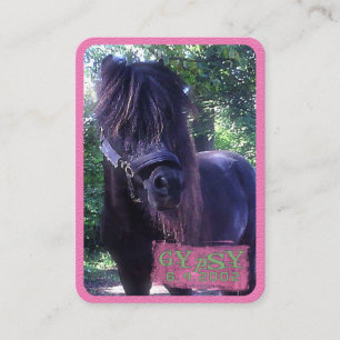 Tsigane - Carte de visite