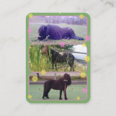 Tsigane - Carte de visite (Dos)