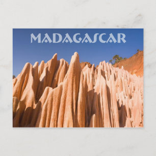 Tsingy rouges de Madagascar Briefkaart