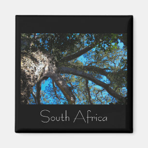Tsitsikamma National Park South Africa Magnet Magneet
