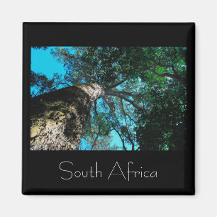 Tsitsikamma National Park South Africa Magnet Magneet