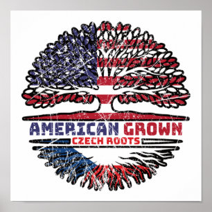 Tsjechië Tsjechië Verenigde Staten Verenigde State Poster