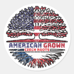 Tsjechië Tsjechië Verenigde Staten Verenigde State Ronde Sticker